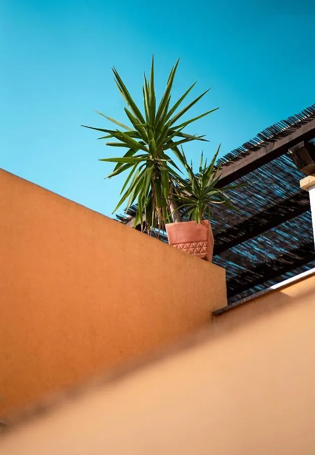 Hostel Backpackers Home Zadar Croatia